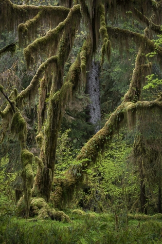 Frederic-Demeuse-WALD-photography-10